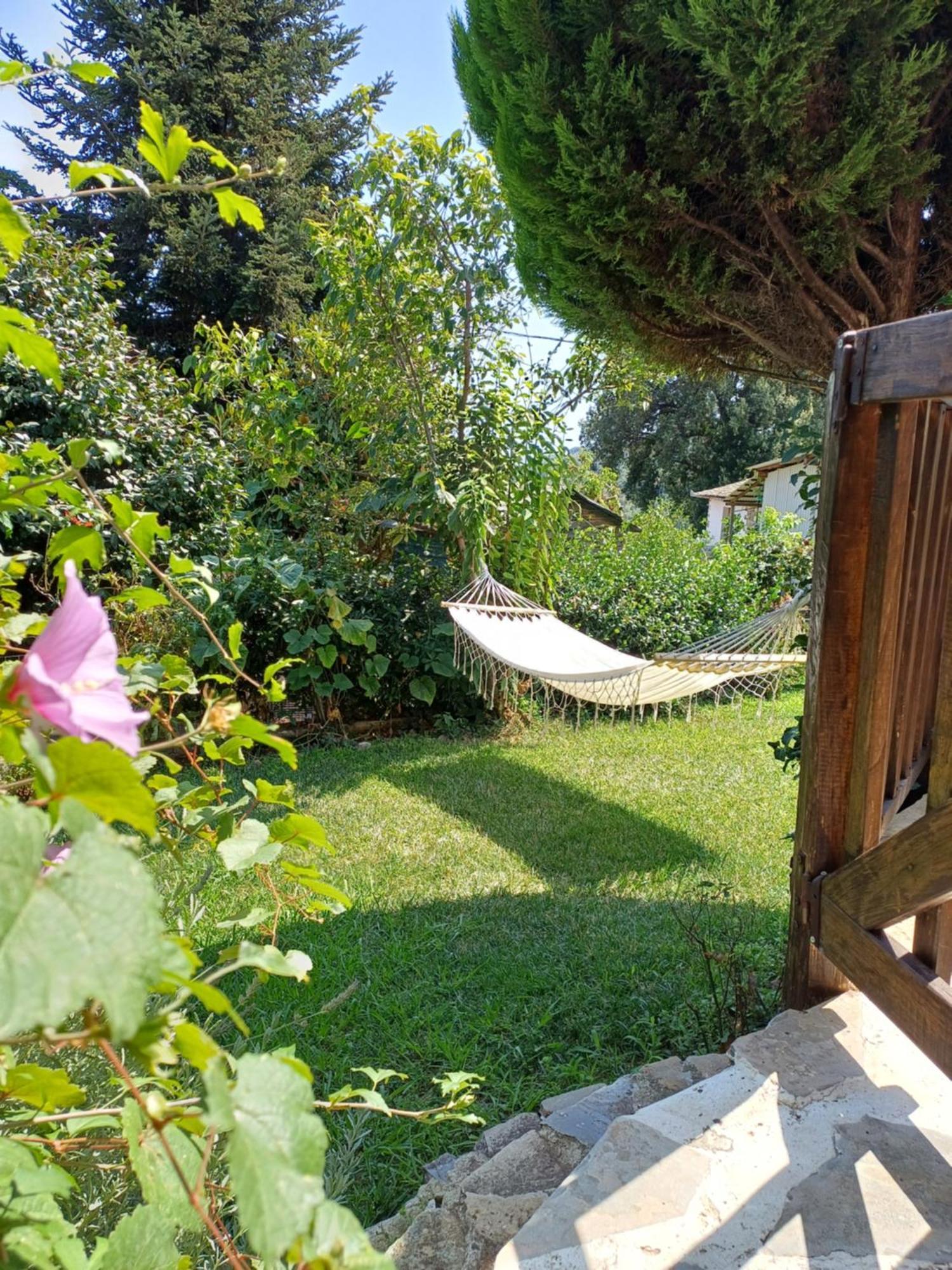 Efi'S Guest House Áyios Dhimítrios Екстериор снимка