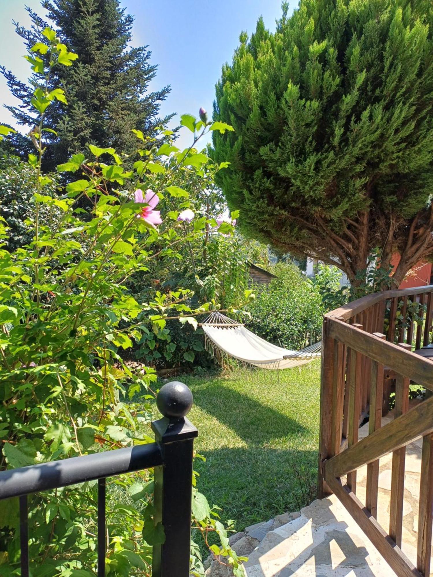 Efi'S Guest House Áyios Dhimítrios Екстериор снимка